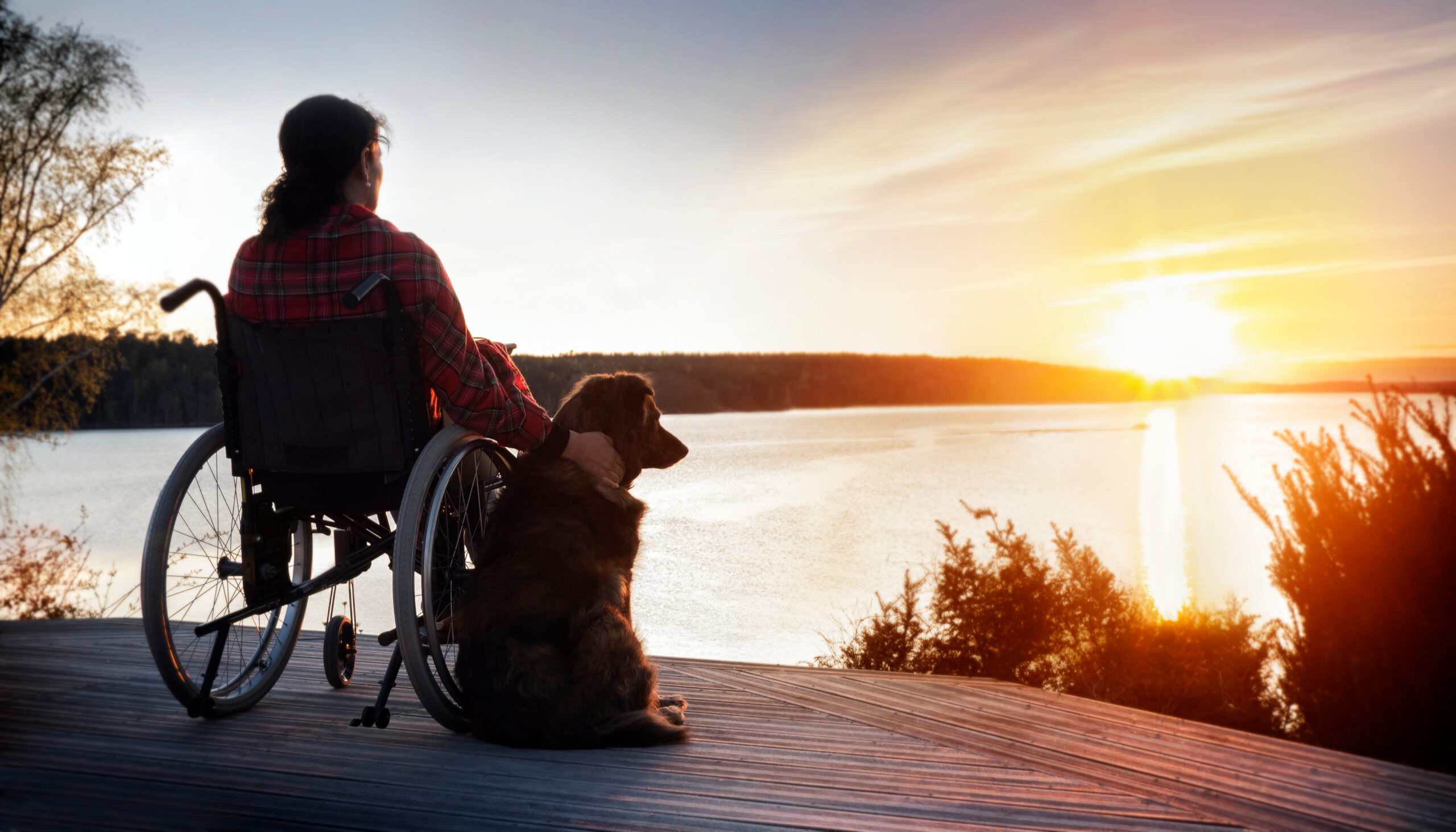 Woman in wheelchair with her dog at sunset